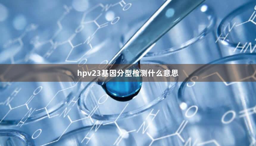 hpv23基因分型检测什么意思