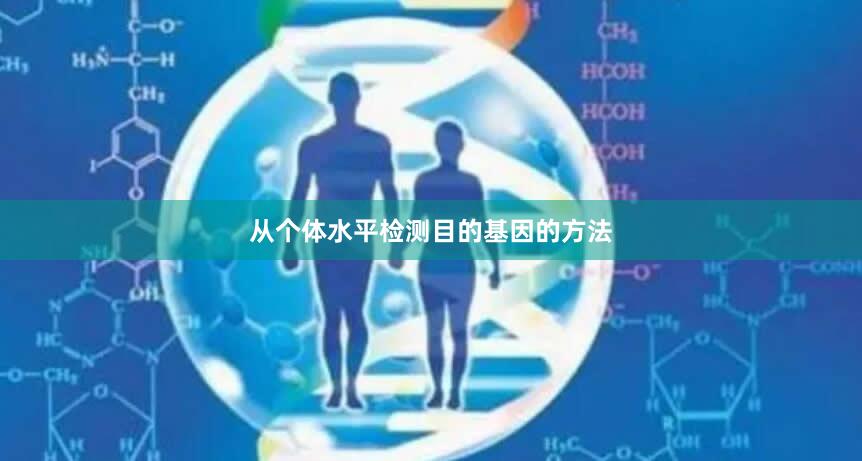 从个体水平检测目的基因的方法