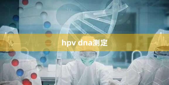 hpv dna测定