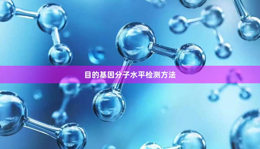 目的基因分子水平检测方法