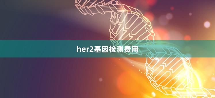 her2基因检测费用