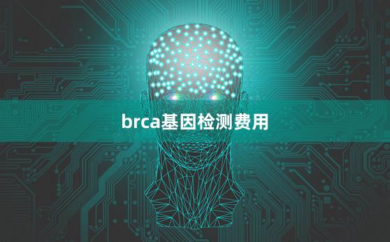 brca基因检测费用