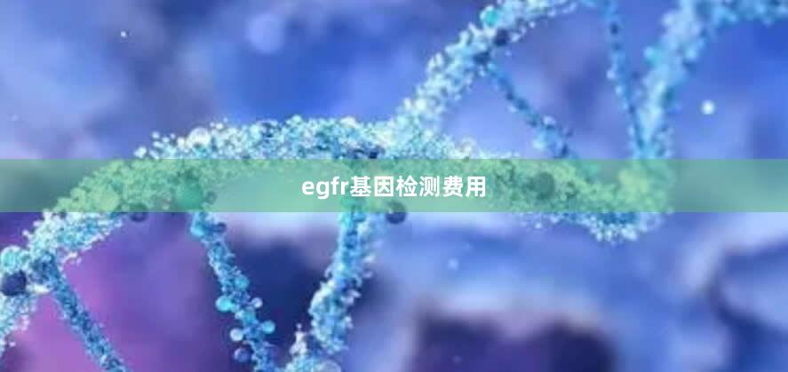 egfr基因检测费用