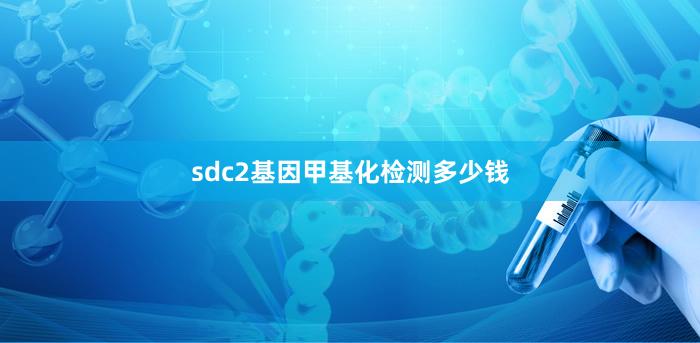 sdc2基因甲基化检测多少钱