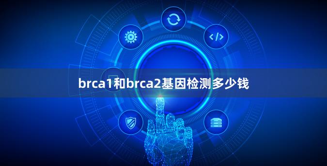 brca1和brca2基因检测多少钱