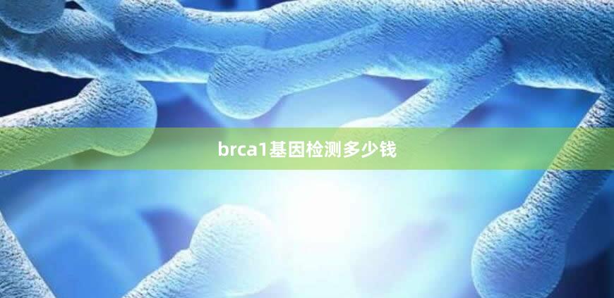 brca1基因检测多少钱