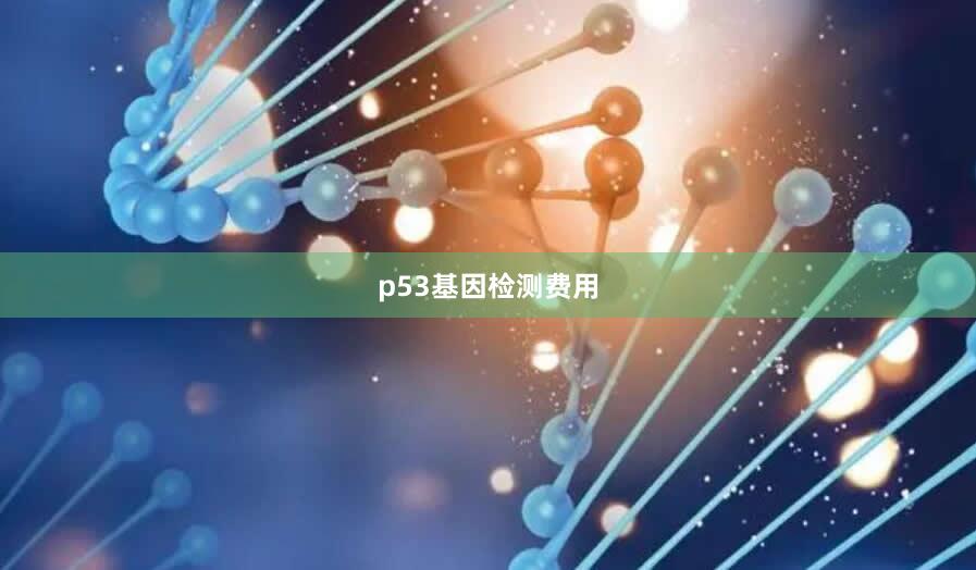 p53基因检测费用