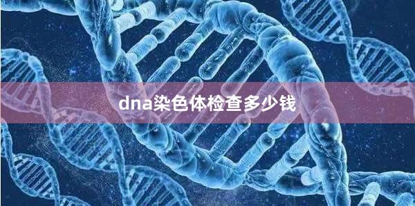 dna染色体检查多少钱