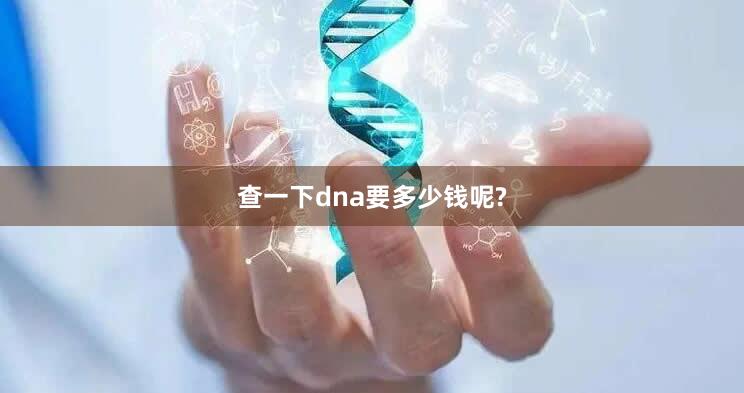 查一下dna要多少钱呢?