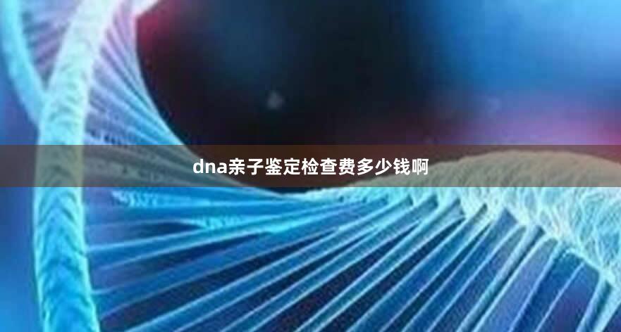 dna亲子鉴定检查费多少钱啊