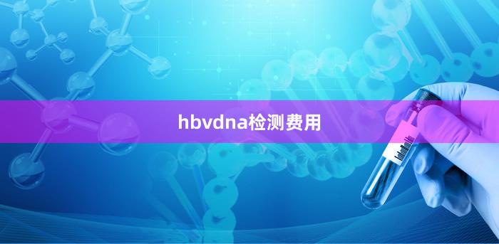 hbvdna检测费用