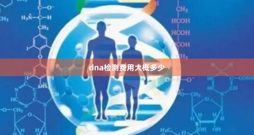 dna检测费用大概多少