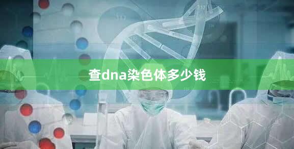 查dna染色体多少钱