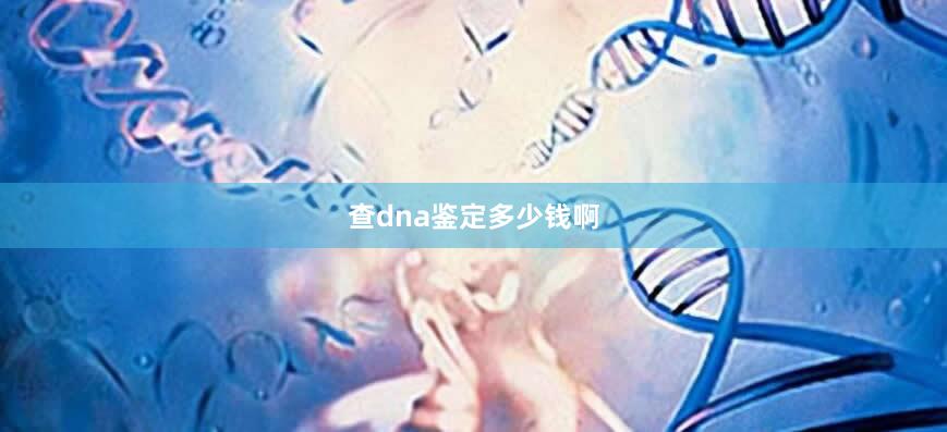 查dna鉴定多少钱啊