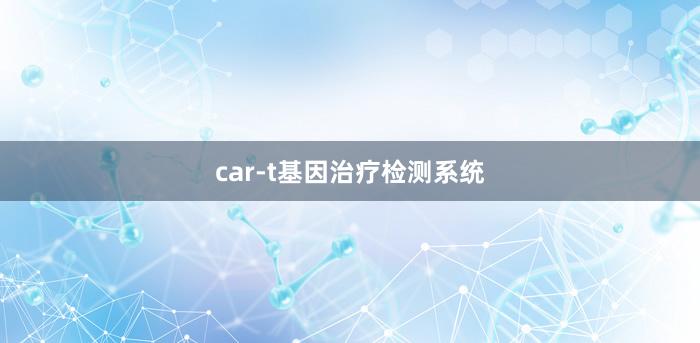 car-t基因治疗检测系统