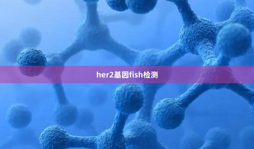 her2基因fish检测