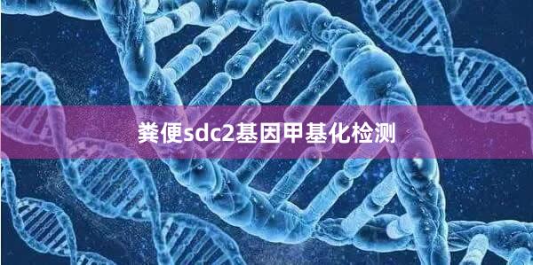 粪便sdc2基因甲基化检测