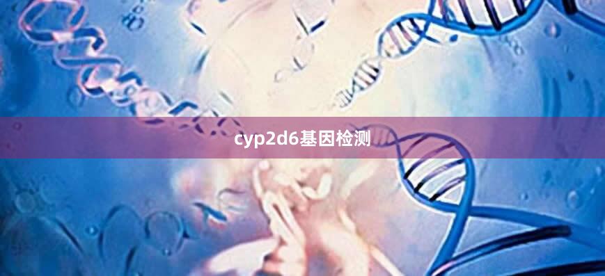 cyp2d6基因检测