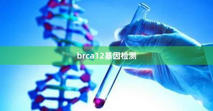 brca12基因检测