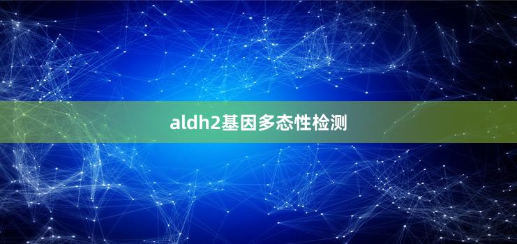 aldh2基因多态性检测