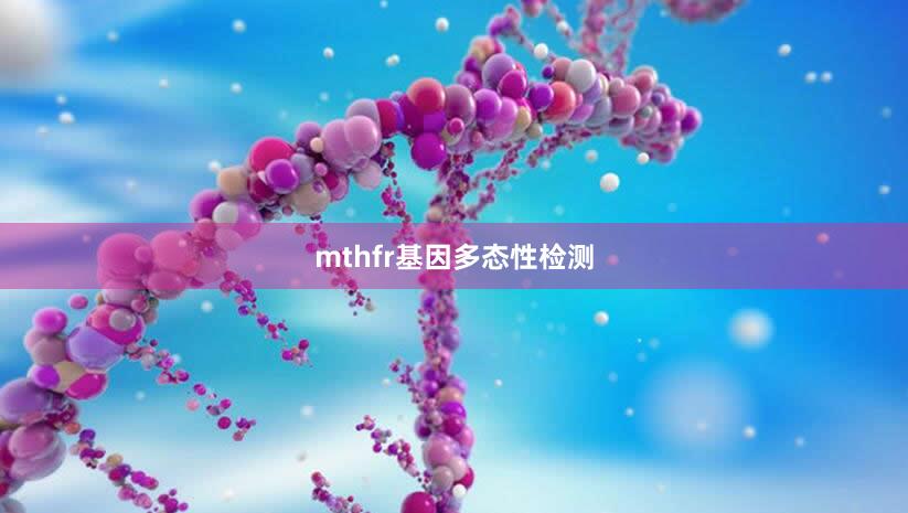 mthfr基因多态性检测