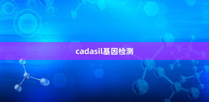 cadasil基因检测