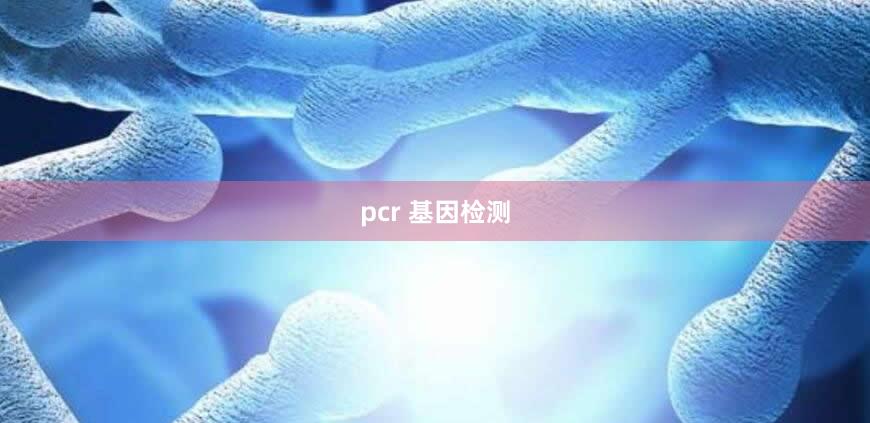 pcr 基因检测