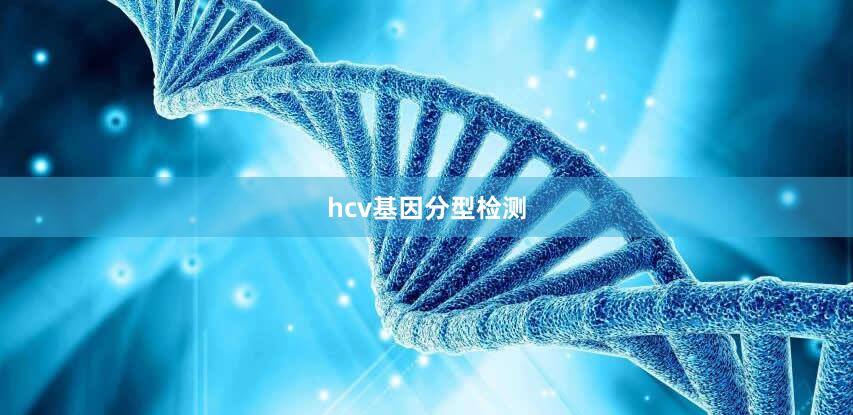 hcv基因分型检测