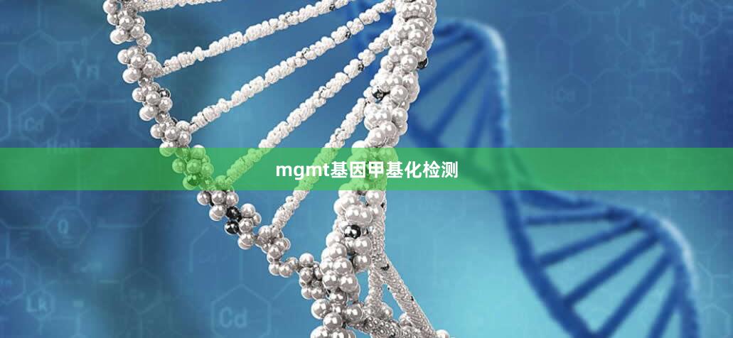 mgmt基因甲基化检测