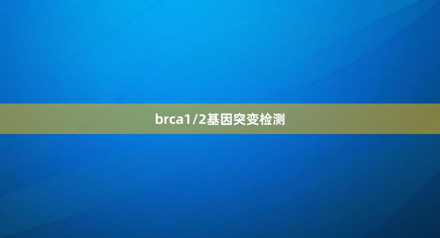 brca1/2基因突变检测