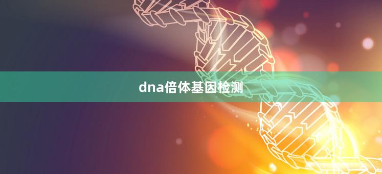 dna倍体基因检测