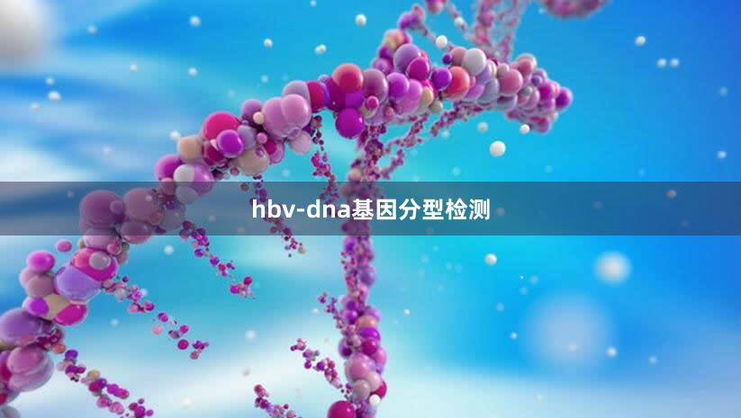 hbv-dna基因分型检测