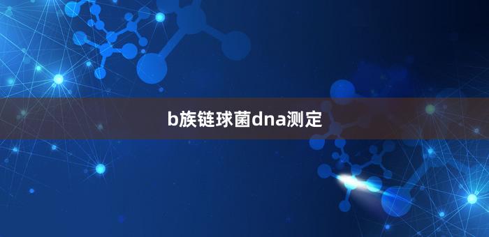 b族链球菌dna测定