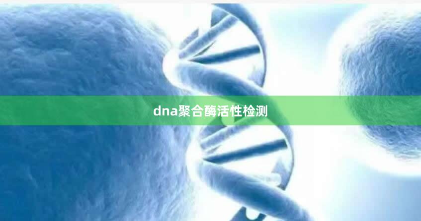 dna聚合酶活性检测