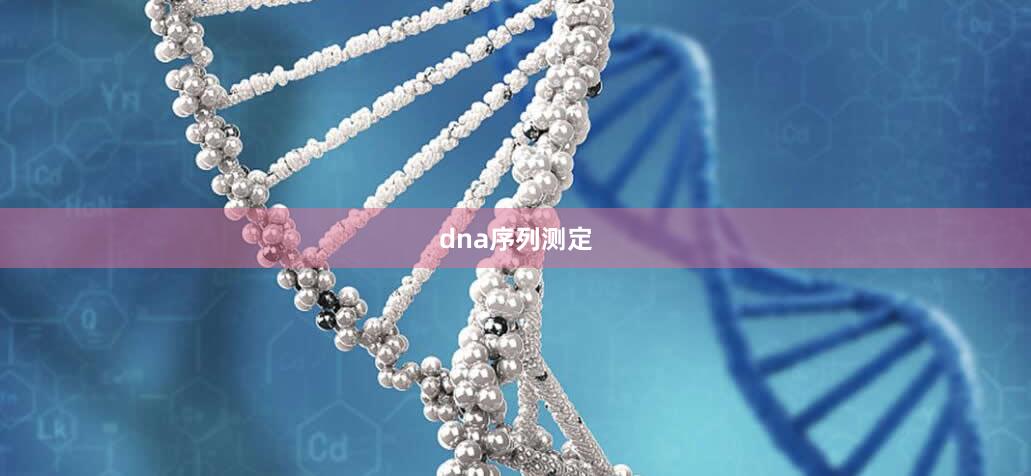 dna序列测定