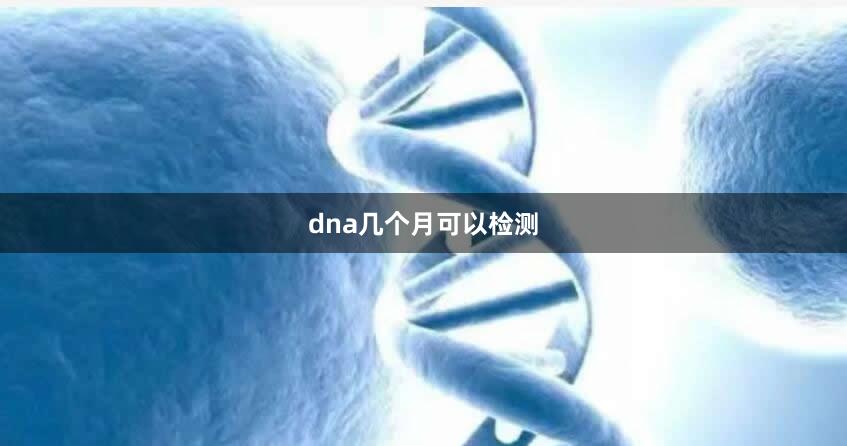 dna几个月可以检测