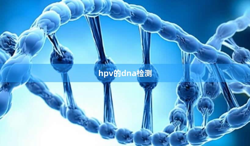 hpv的dna检测