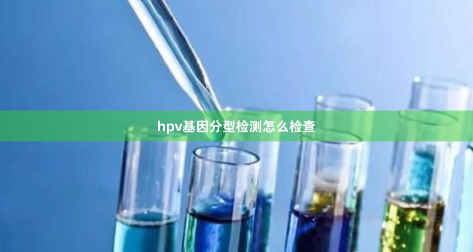 hpv基因分型检测怎么检查