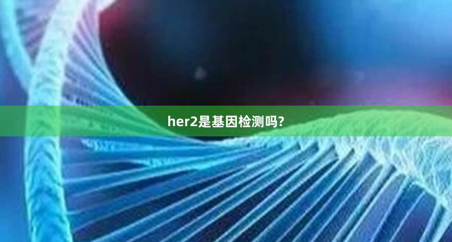 her2是基因检测吗?