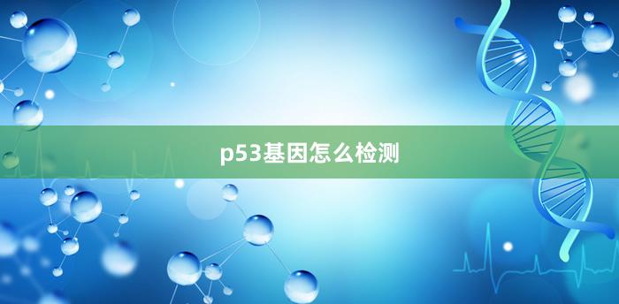 p53基因怎么检测