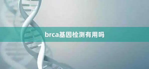 brca基因检测有用吗