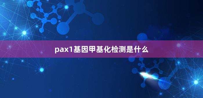 pax1基因甲基化检测是什么