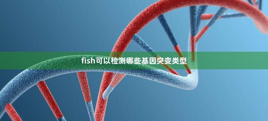 fish可以检测哪些基因突变类型