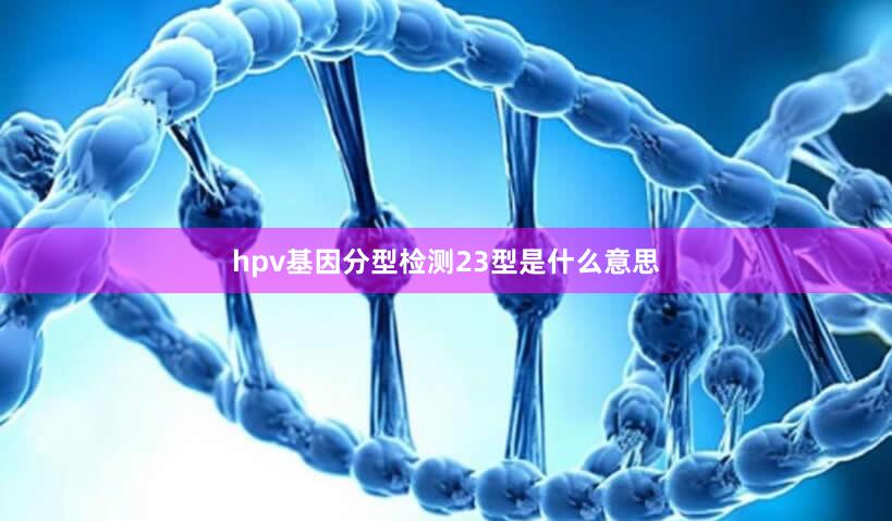 hpv基因分型检测23型是什么意思