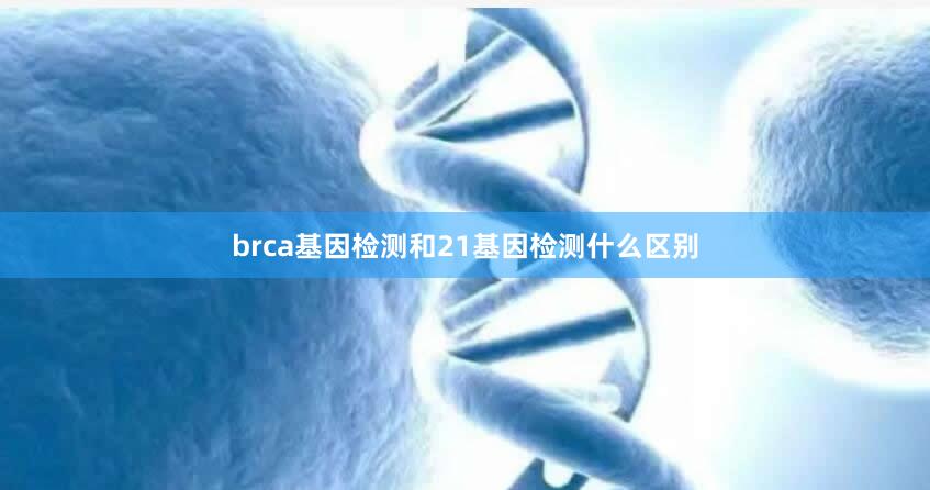 brca基因检测和21基因检测什么区别