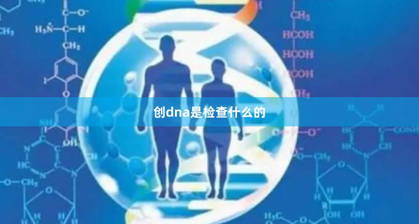 创dna是检查什么的