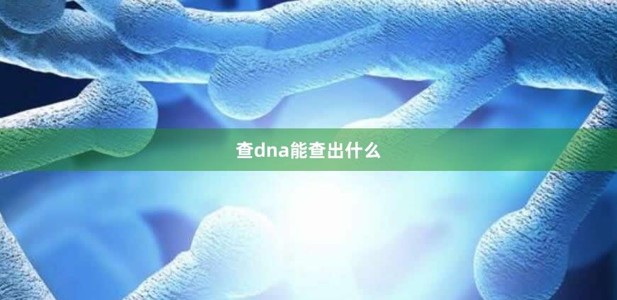 查dna能查出什么