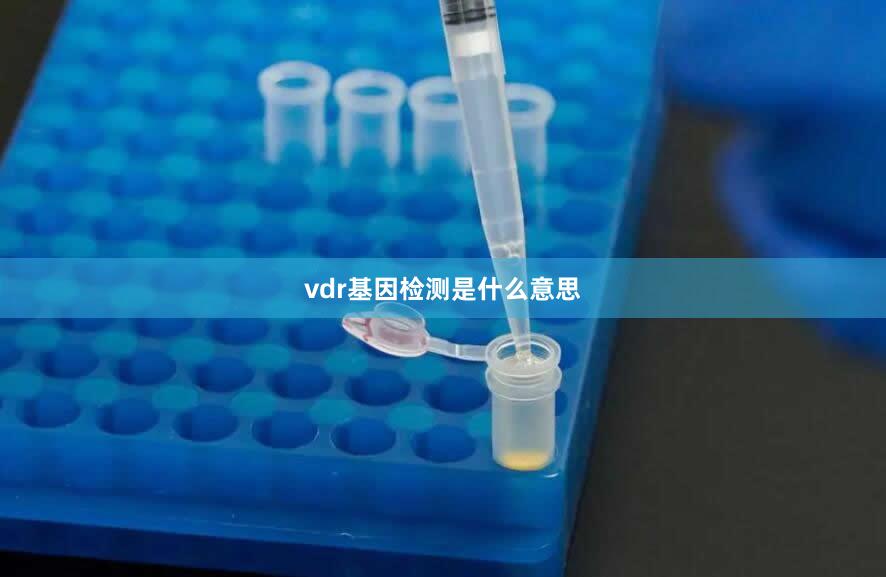 vdr基因检测是什么意思