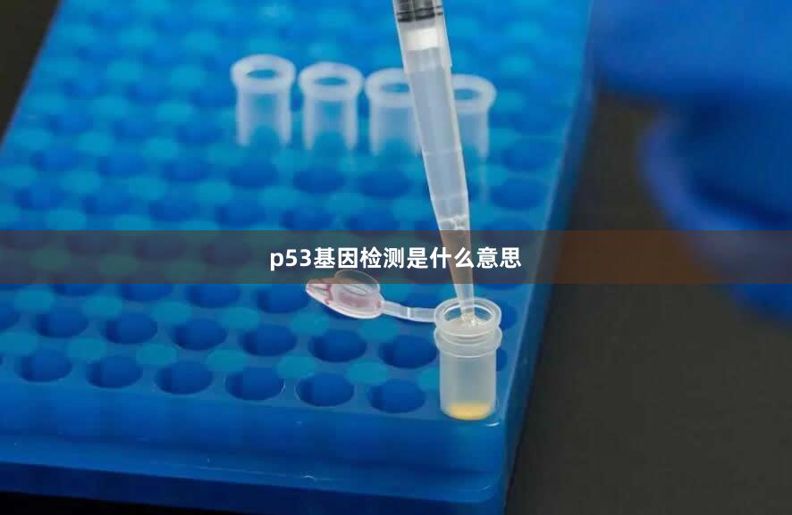 p53基因检测是什么意思