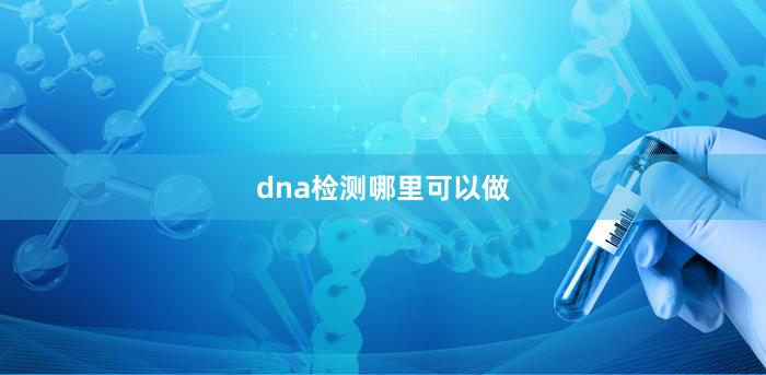 dna检测哪里可以做